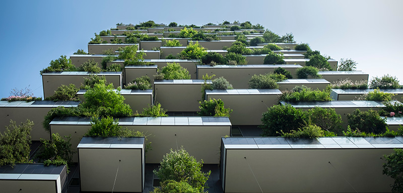 Going Green in Your Building Design